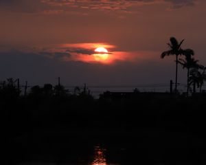 Preview wallpaper sunset, trees, pond, dark