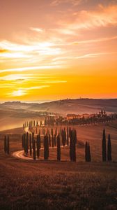 Preview wallpaper sunset, trees, road, grass, horizon