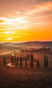 Preview wallpaper sunset, trees, road, grass, horizon