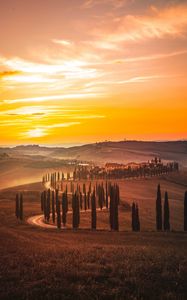 Preview wallpaper sunset, trees, road, grass, horizon