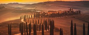 Preview wallpaper sunset, trees, road, grass, horizon