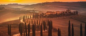 Preview wallpaper sunset, trees, road, grass, horizon