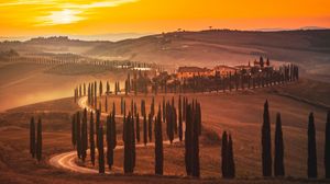 Preview wallpaper sunset, trees, road, grass, horizon