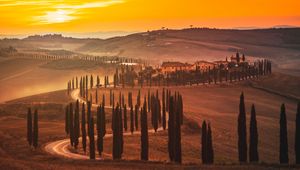 Preview wallpaper sunset, trees, road, grass, horizon