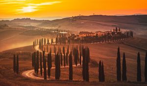 Preview wallpaper sunset, trees, road, grass, horizon