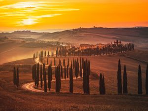 Preview wallpaper sunset, trees, road, grass, horizon