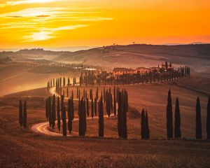 Preview wallpaper sunset, trees, road, grass, horizon