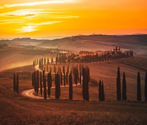 Preview wallpaper sunset, trees, road, grass, horizon