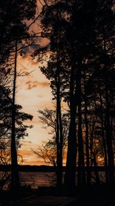 Preview wallpaper sunset, trees, sea, silhouette, pier