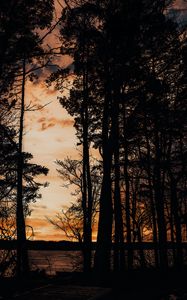 Preview wallpaper sunset, trees, sea, silhouette, pier