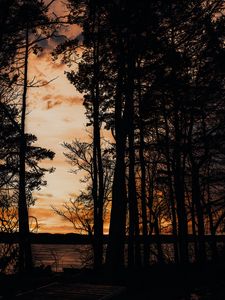 Preview wallpaper sunset, trees, sea, silhouette, pier