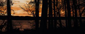 Preview wallpaper sunset, trees, sea, silhouette, pier