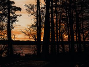 Preview wallpaper sunset, trees, sea, silhouette, pier