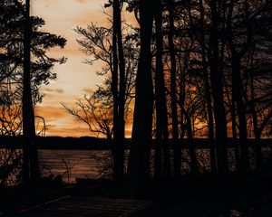 Preview wallpaper sunset, trees, sea, silhouette, pier