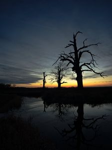 Preview wallpaper sunset, trees, silhouette, reflection