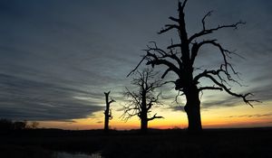 Preview wallpaper sunset, trees, silhouette, reflection