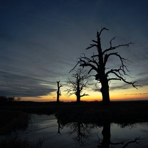 Preview wallpaper sunset, trees, silhouette, reflection