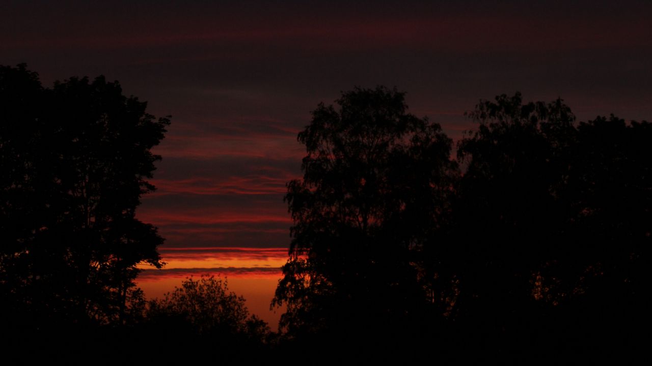 Wallpaper sunset, trees, silhouette, sky