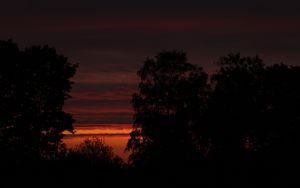 Preview wallpaper sunset, trees, silhouette, sky