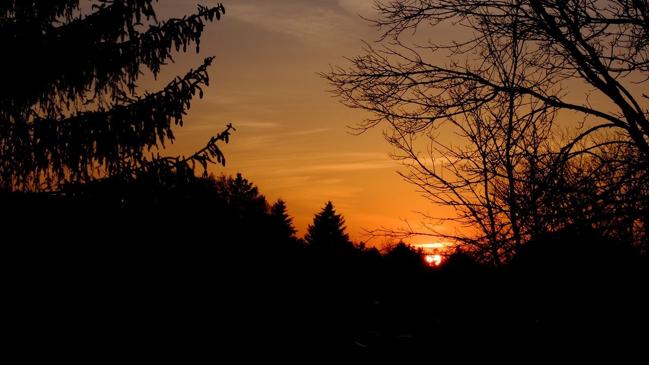 Wallpaper sunset, trees, silhouette, branches, sky