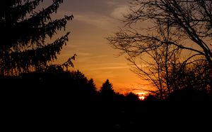 Preview wallpaper sunset, trees, silhouette, branches, sky