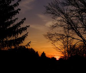 Preview wallpaper sunset, trees, silhouette, branches, sky