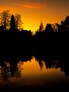 Preview wallpaper sunset, trees, silhouette, black