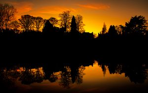 Preview wallpaper sunset, trees, silhouette, black