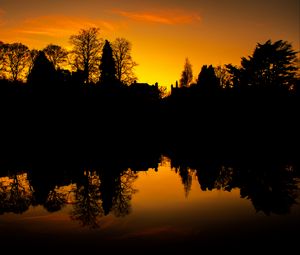 Preview wallpaper sunset, trees, silhouette, black