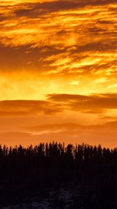 Preview wallpaper sunset, trees, silhouette, clouds