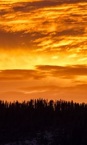 Preview wallpaper sunset, trees, silhouette, clouds