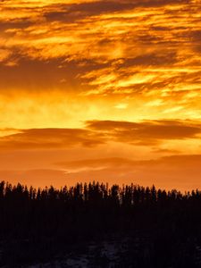 Preview wallpaper sunset, trees, silhouette, clouds