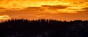 Preview wallpaper sunset, trees, silhouette, clouds
