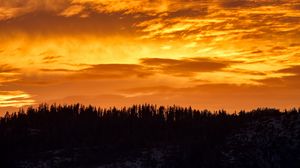 Preview wallpaper sunset, trees, silhouette, clouds