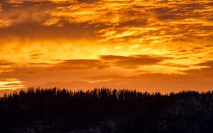 Preview wallpaper sunset, trees, silhouette, clouds