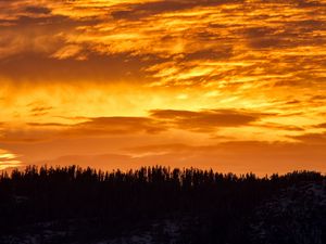 Preview wallpaper sunset, trees, silhouette, clouds