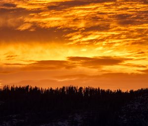Preview wallpaper sunset, trees, silhouette, clouds