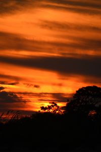 Preview wallpaper sunset, trees, silhouettes, dark