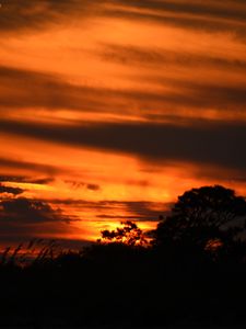 Preview wallpaper sunset, trees, silhouettes, dark