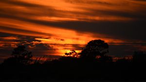 Preview wallpaper sunset, trees, silhouettes, dark