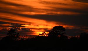 Preview wallpaper sunset, trees, silhouettes, dark