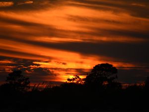Preview wallpaper sunset, trees, silhouettes, dark