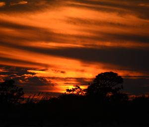Preview wallpaper sunset, trees, silhouettes, dark