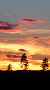 Preview wallpaper sunset, trees, silhouettes, dark, evening, nature