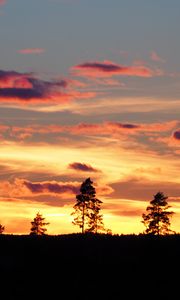 Preview wallpaper sunset, trees, silhouettes, dark, evening, nature