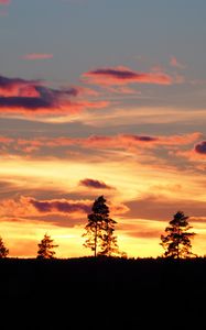 Preview wallpaper sunset, trees, silhouettes, dark, evening, nature