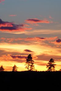 Preview wallpaper sunset, trees, silhouettes, dark, evening, nature
