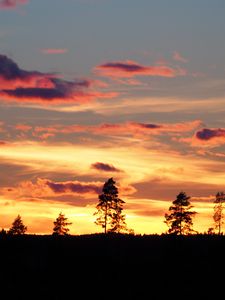 Preview wallpaper sunset, trees, silhouettes, dark, evening, nature