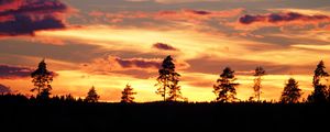 Preview wallpaper sunset, trees, silhouettes, dark, evening, nature