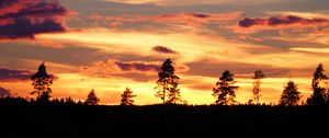 Preview wallpaper sunset, trees, silhouettes, dark, evening, nature
